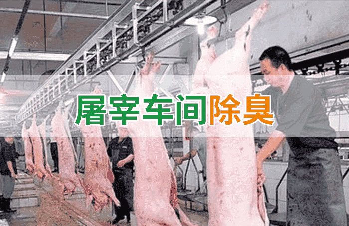 屠宰場臭氣影響周邊環(huán)境？解決辦法在這里-1