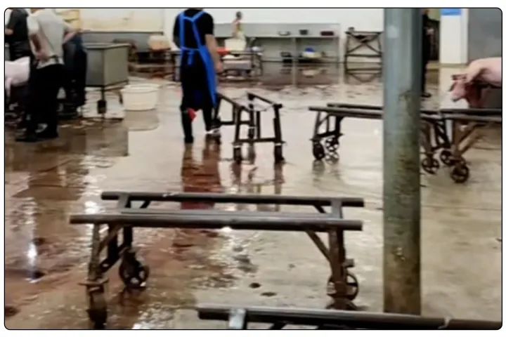 屠宰工廠惡臭影響周邊，使用除臭劑有什么注意要點？.jpg
