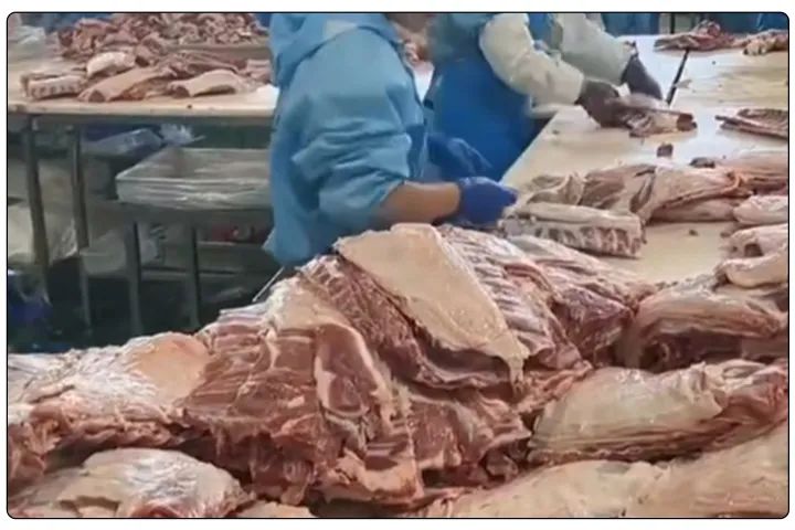 屠宰工廠惡臭影響周邊，使用除臭劑有什么注意要點？.jpg
