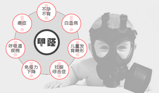 常見(jiàn)的“除甲醛”方法有哪些呢？有什么優(yōu)缺點(diǎn)？