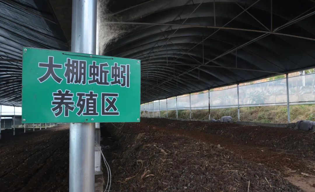 潔匠凈化·的凈工業(yè)除臭劑_的凈工業(yè)除臭劑高效治理蚯蚓養(yǎng)殖惡臭異味大、牛糞味濃