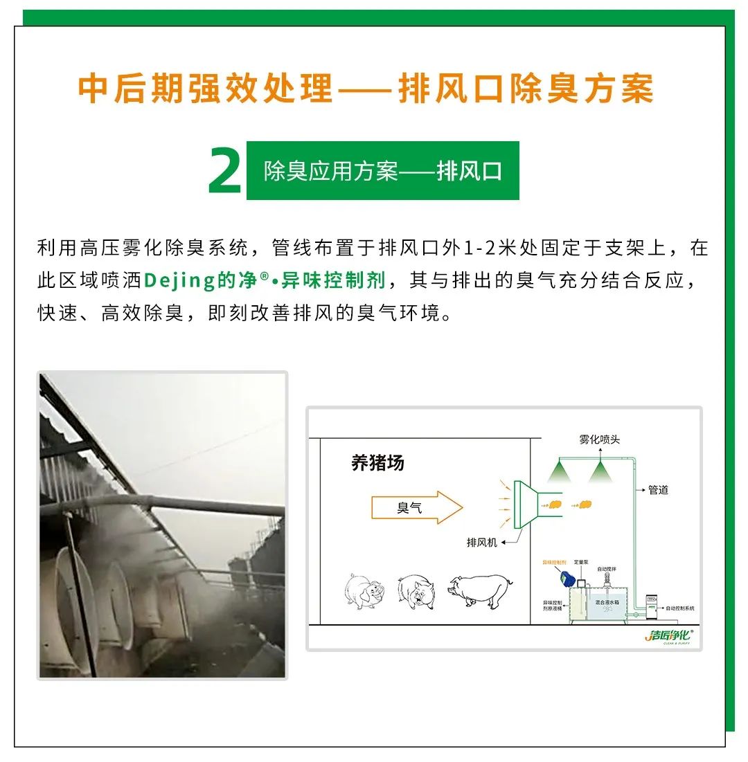 Dejing的凈養(yǎng)殖場(chǎng)除臭劑如何迅速清理養(yǎng)殖場(chǎng)臭味？.jpg
