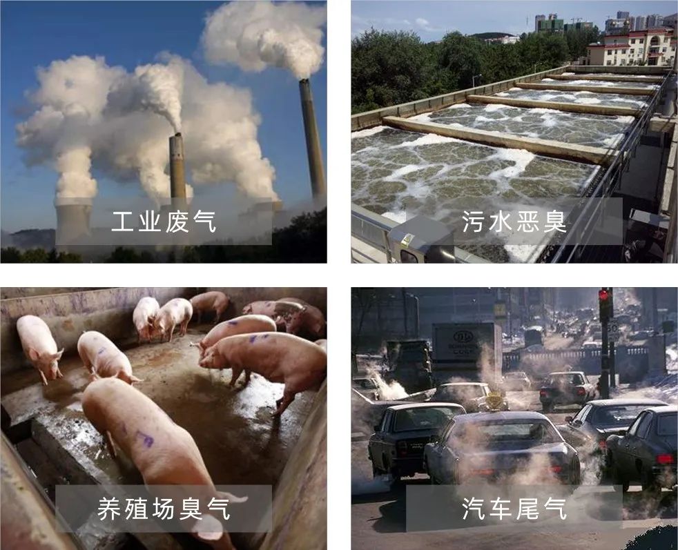 Dejing的凈工業(yè)除臭劑——解決臭味困擾的源頭！.jpg
