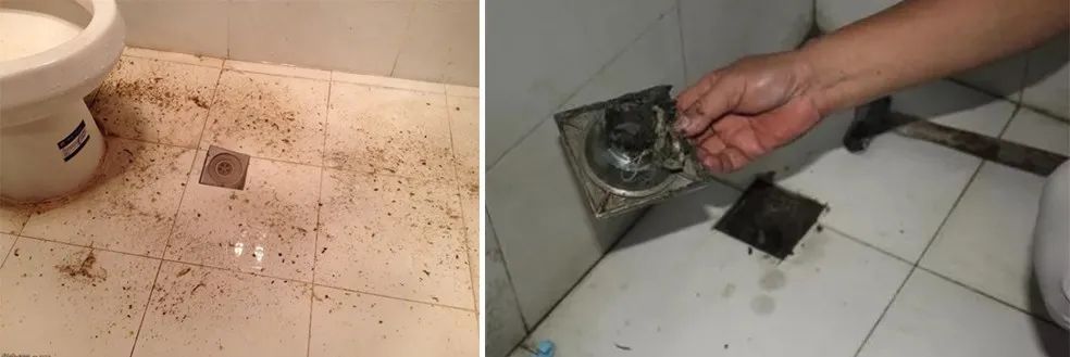 家里衛(wèi)生間老有異味，潔匠凈化教您如何解決難聞的臭味.jpg